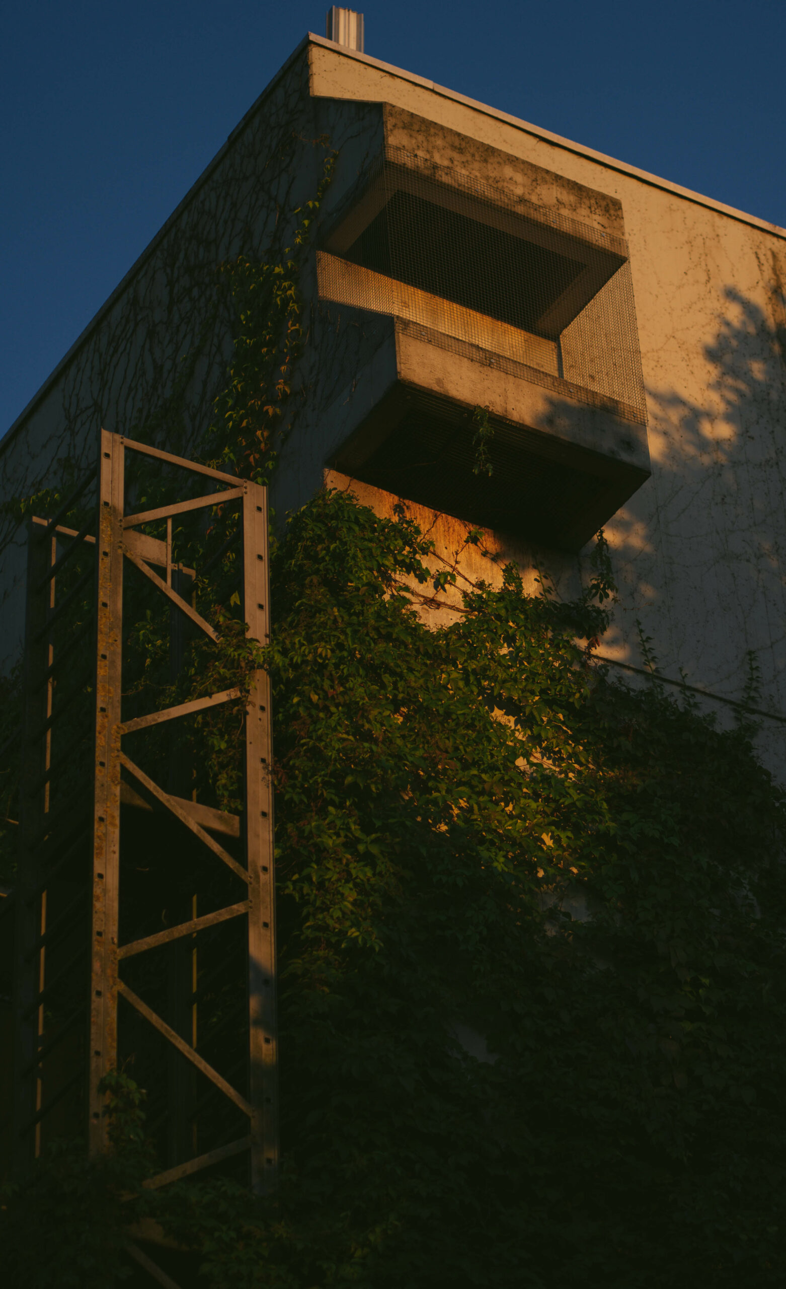 Golden Houre Tower