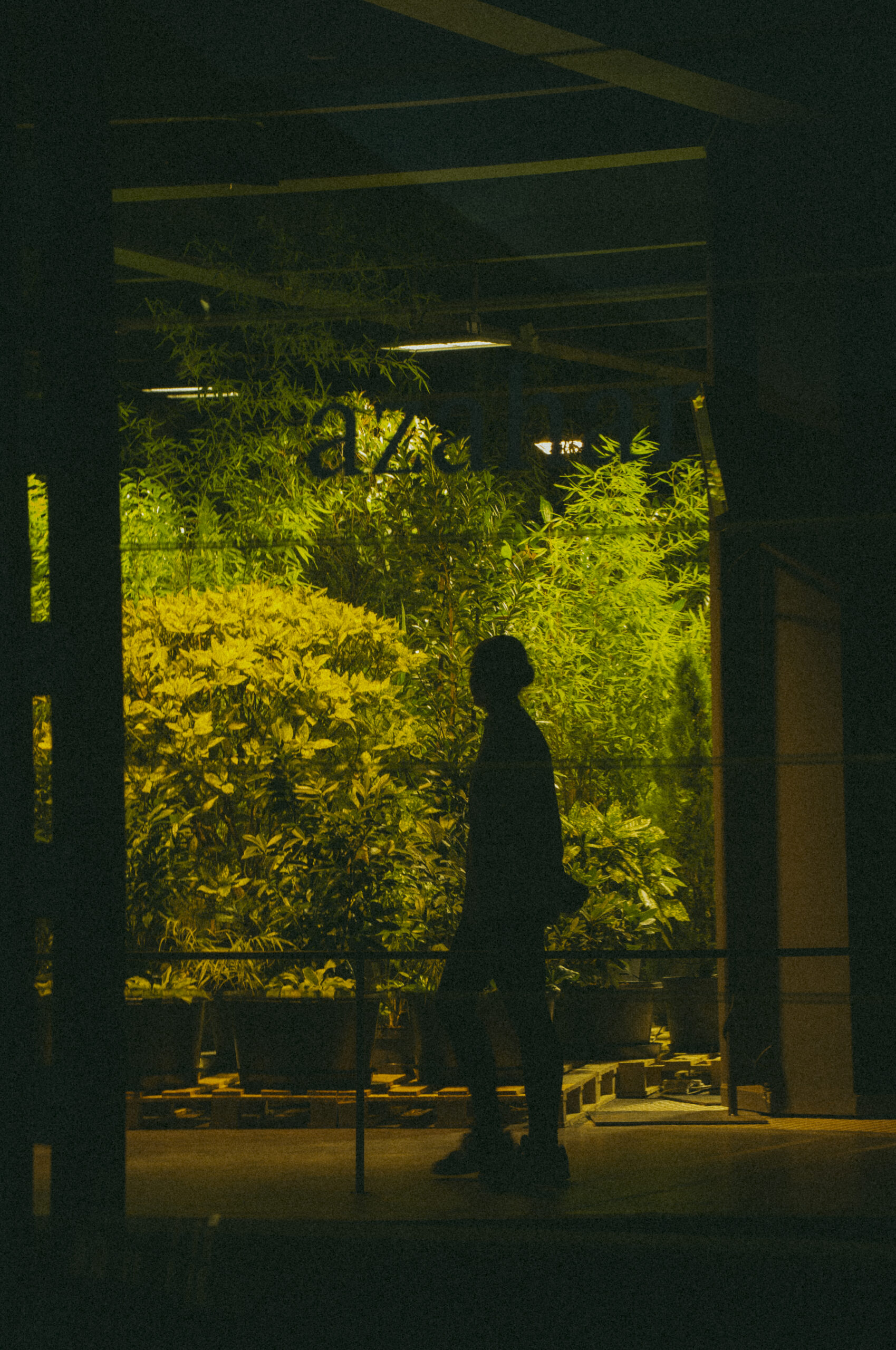 The Person in Green